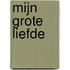Mijn grote liefde
