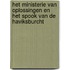 Het Ministerie van Oplossingen en het spook van de Haviksburcht