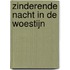 Zinderende nacht in de woestijn