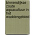 Binnendijkse zoute aquacultuur in het Waddengebied