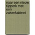 Naar een nieuw tijdperk met een zakenkabinet