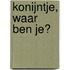 Konijntje, waar ben je?