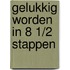 Gelukkig worden in 8 1/2 stappen