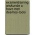 Examentraining Wiskunde A HAVO met Desmos-tools