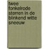 Twee fonkelrode sterren in de blinkend witte sneeuw