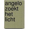 Angelo zoekt het licht by Gerard van Midden