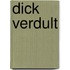 Dick Verdult