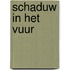 Schaduw in het vuur