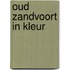 Oud Zandvoort in kleur