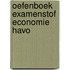 Oefenboek Examenstof Economie HAVO