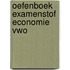 Oefenboek Examenstof Economie VWO