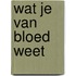 Wat je van bloed weet