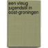 Een vleug Jugendstil in Oost-Groningen