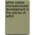 White matter microstructural development in the course of ADHD