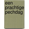 Een prachtige pechdag by Eva Lindell