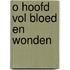 O hoofd vol bloed en wonden