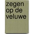 Zegen op de Veluwe