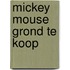 Mickey Mouse grond te koop