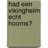Had een vikinghelm echt hoorns?
