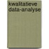 Kwalitatieve Data-Analyse