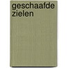 Geschaafde zielen by Patricia De Landtsheer