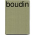 Boudin