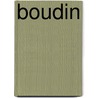 Boudin door Henk Koesveld