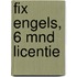 FIX Engels, 6 mnd licentie
