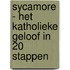 Sycamore - Het katholieke geloof in 20 stappen