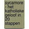 Sycamore - Het katholieke geloof in 20 stappen door Fr Stephen Wang