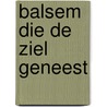 Balsem die de ziel geneest door Henrico ter Beek