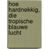 Hoe hardnekkig, die tropische blauwe lucht