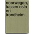 Noorwegen, tussen Oslo en Trondheim