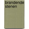 Brandende stenen door Gustaaf De Meersman