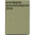 Praktijkgids arbeidsveiligheid 2024