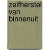 Zelfherstel van binnenuit door Pascale Bruinen