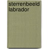 Sterrenbeeld Labrador door Marietta Kenkel