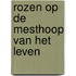 Rozen op de mesthoop van het leven