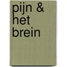 Pijn & het brein by Joke Vollebregt