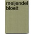 Meijendel bloeit