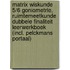 Matrix Wiskunde 5/6 Goniometrie, ruimtemeetkunde Dubbele finaliteit Leerwerkboek (incl. Pelckmans Portaal)