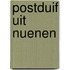 Postduif uit Nuenen