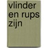 Vlinder en rups zijn