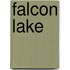 Falcon Lake