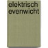 Elektrisch evenwicht