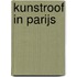 Kunstroof in Parijs