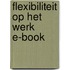 Flexibiliteit op het werk E-book