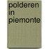 Polderen in Piemonte