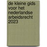 De Kleine Gids voor het Nederlandse Arbeidsrecht 2023 door Mark Debiels