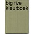 Big Five kleurboek